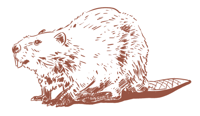 BeaverWorld mascot